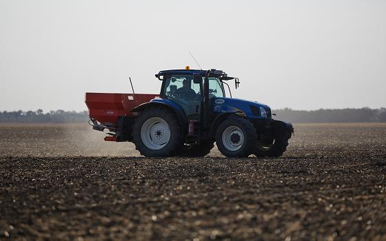 Welche Stickstoffdünger sind empfehlenswert und wie hoch ist die optimale Dosierung?